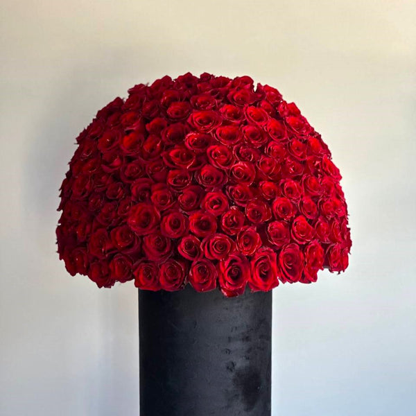 Signature Roses - 50 stems image