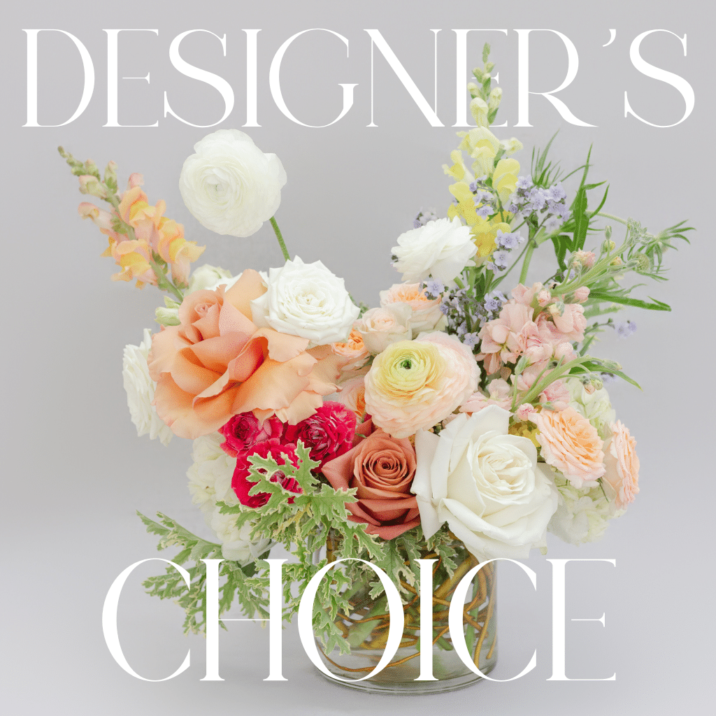 Special choice image 0